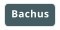 Bachus